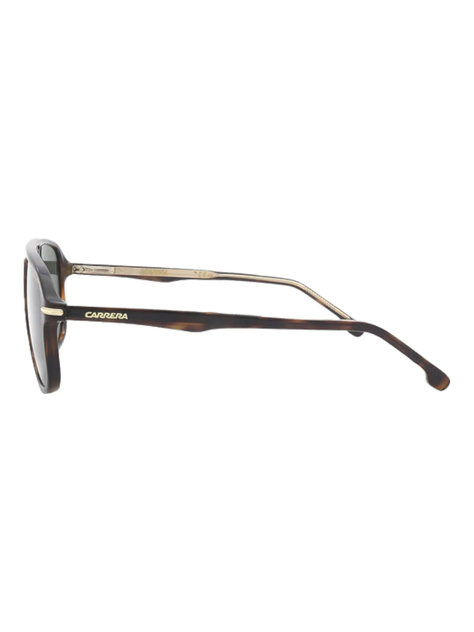 Carrera 279/S Pilot Men's Havana/Green 56-17-145 Sunglasses