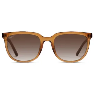Men's Abner Sunglasses In Crystal Brown