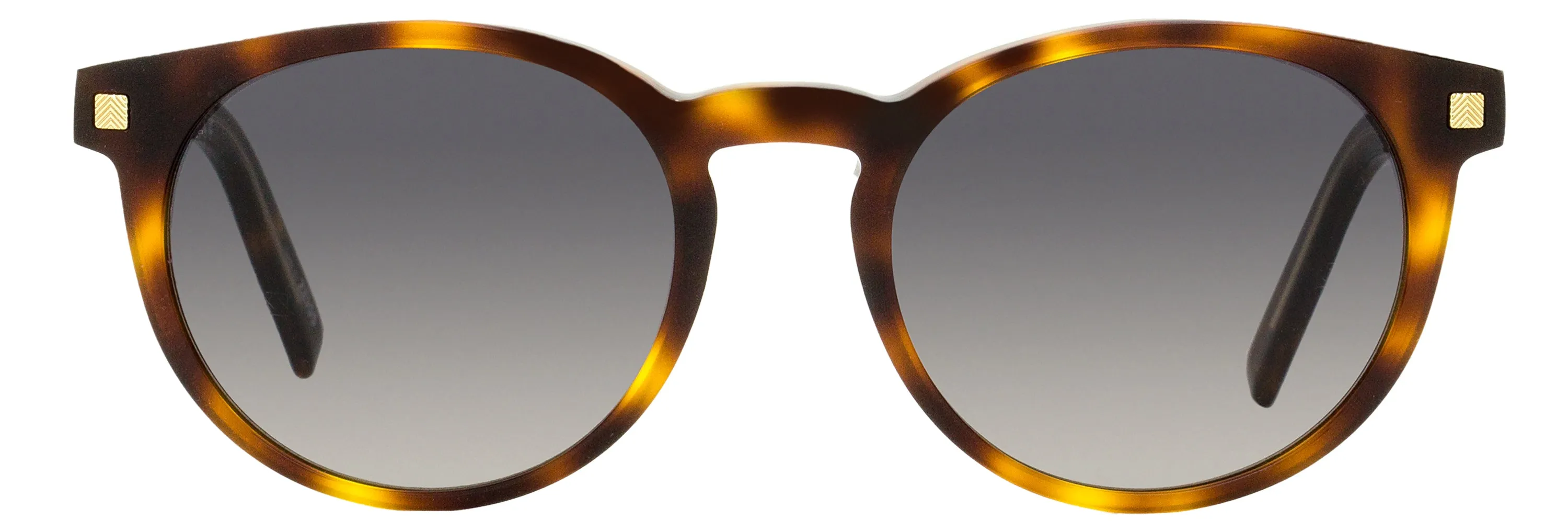 Zegna Men's Pantos Sunglasses EZ0172 52B Havana 54mm